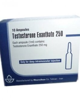 Testosterone enanthate 250
