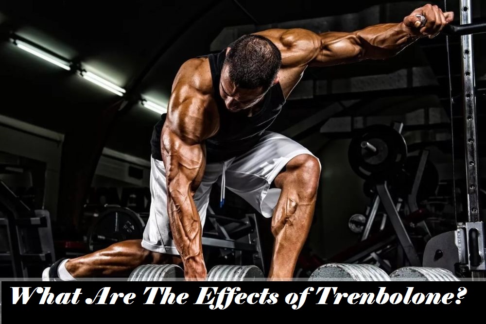 You are currently viewing What Are The Effects of Trenbolone?