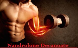 Read more about the article Nandrolone Decanoate