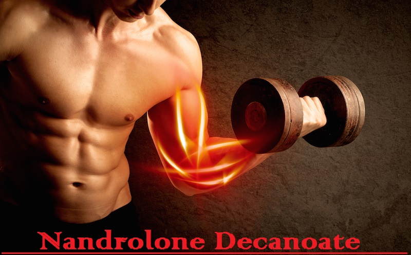 You are currently viewing Nandrolone Decanoate