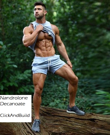 nandrolone-use-body