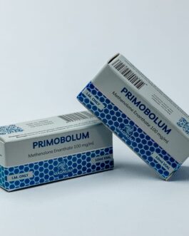 Primobolum
