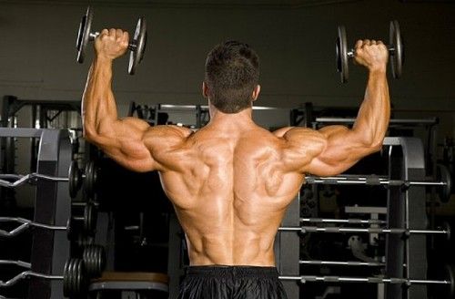 sustanon-muscular-back