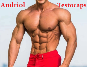 Read more about the article Andriol Testocaps