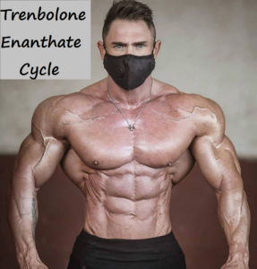Read more about the article Trenbolone Enanthate Cycle