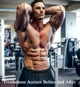 Read more about the article Trenbolone Acetate Before and After