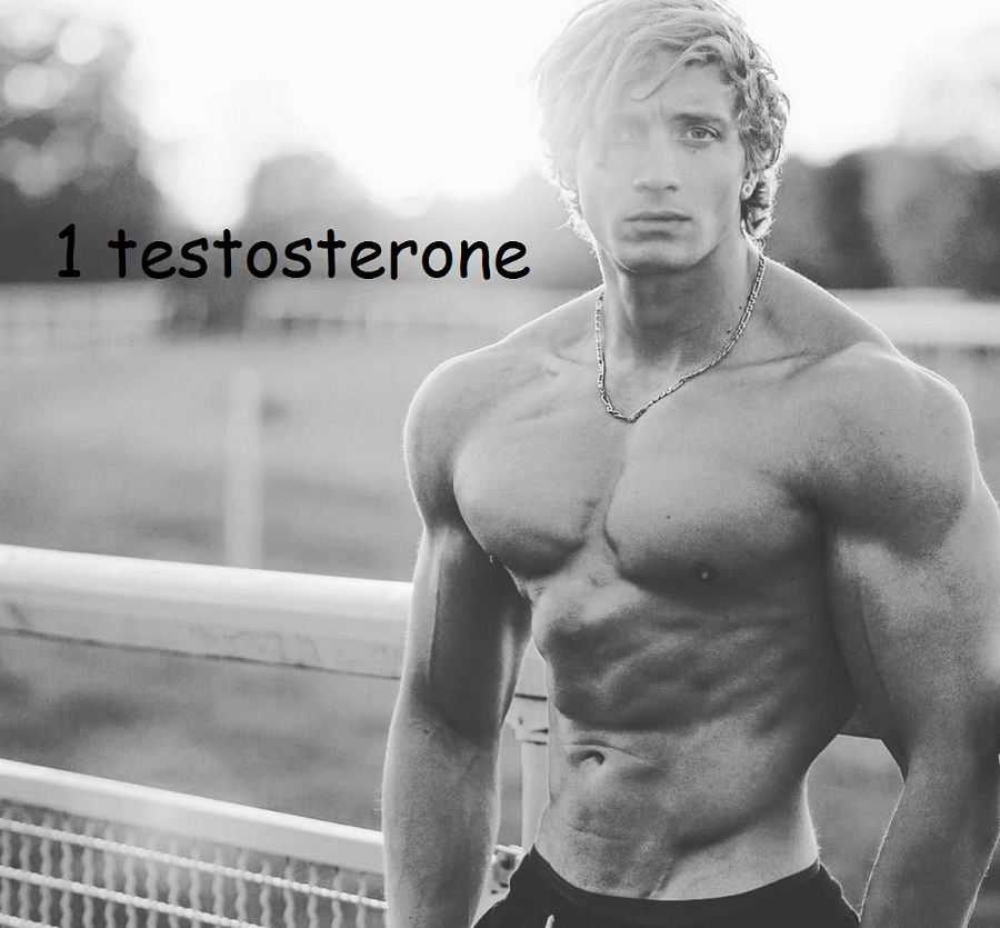 You are currently viewing 1 testosterone