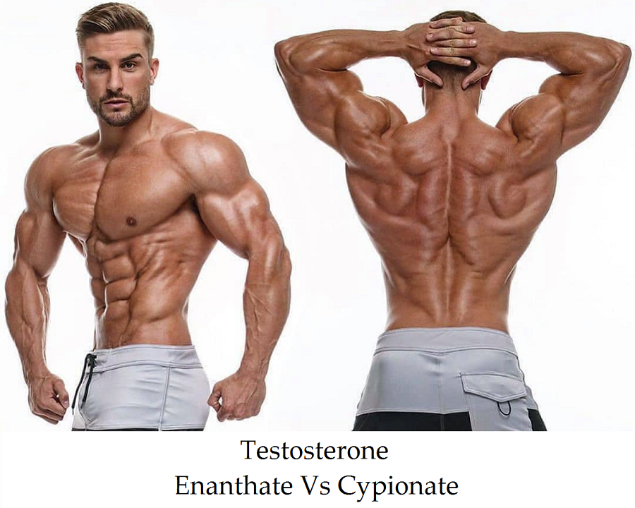 You are currently viewing Testosterone Enanthate Vs Cypionate