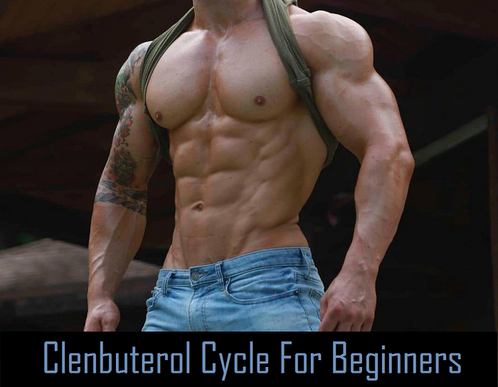 You are currently viewing Clenbuterol Cycle For Beginners