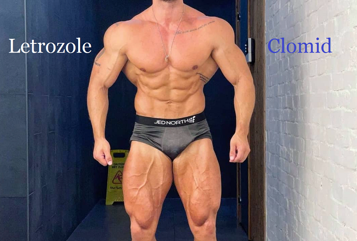You are currently viewing Letrozole VS Clomid