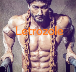 Read more about the article Letrozole