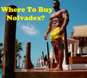 Read more about the article Where To Buy Nolvadex?