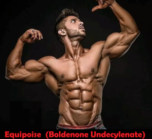 Read more about the article Equipoise (Boldenone Undecylenate)
