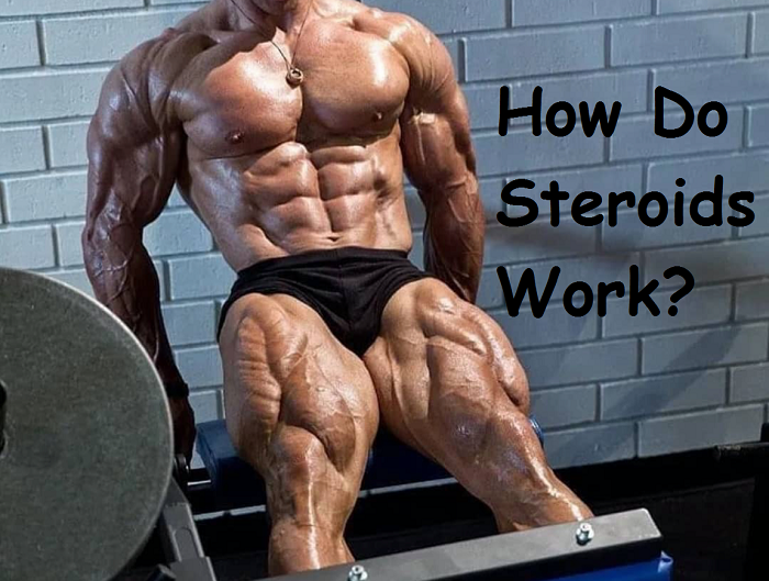 You are currently viewing How Do Steroids Work?