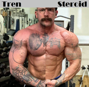 Read more about the article Tren Steroid