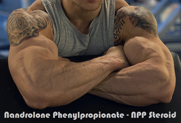 You are currently viewing Nandrolone Phenylpropionate – NPP Steroid
