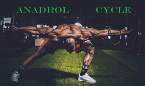 Read more about the article Anadrol Cycle