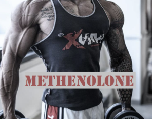 Read more about the article Methenolone