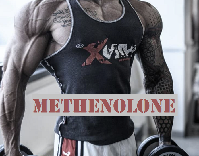You are currently viewing Methenolone