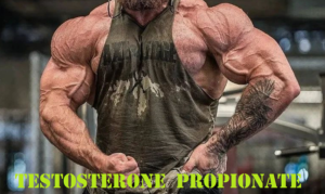 Read more about the article Testosterone Propionate