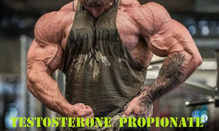You are currently viewing Testosterone Propionate